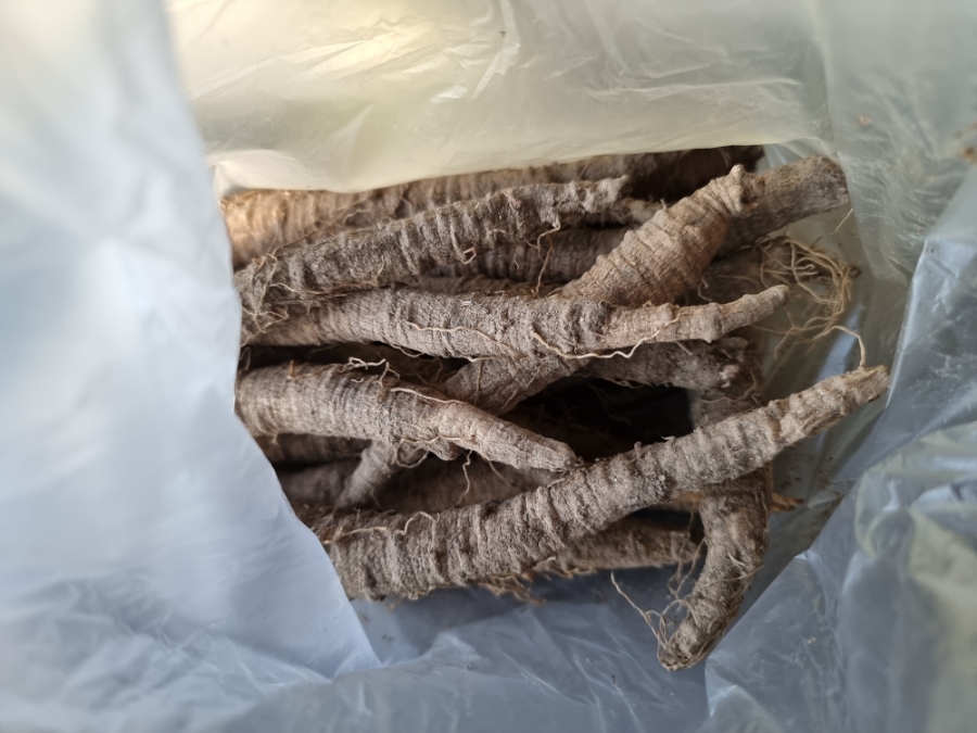한끼공작소 레시피 과정 사진