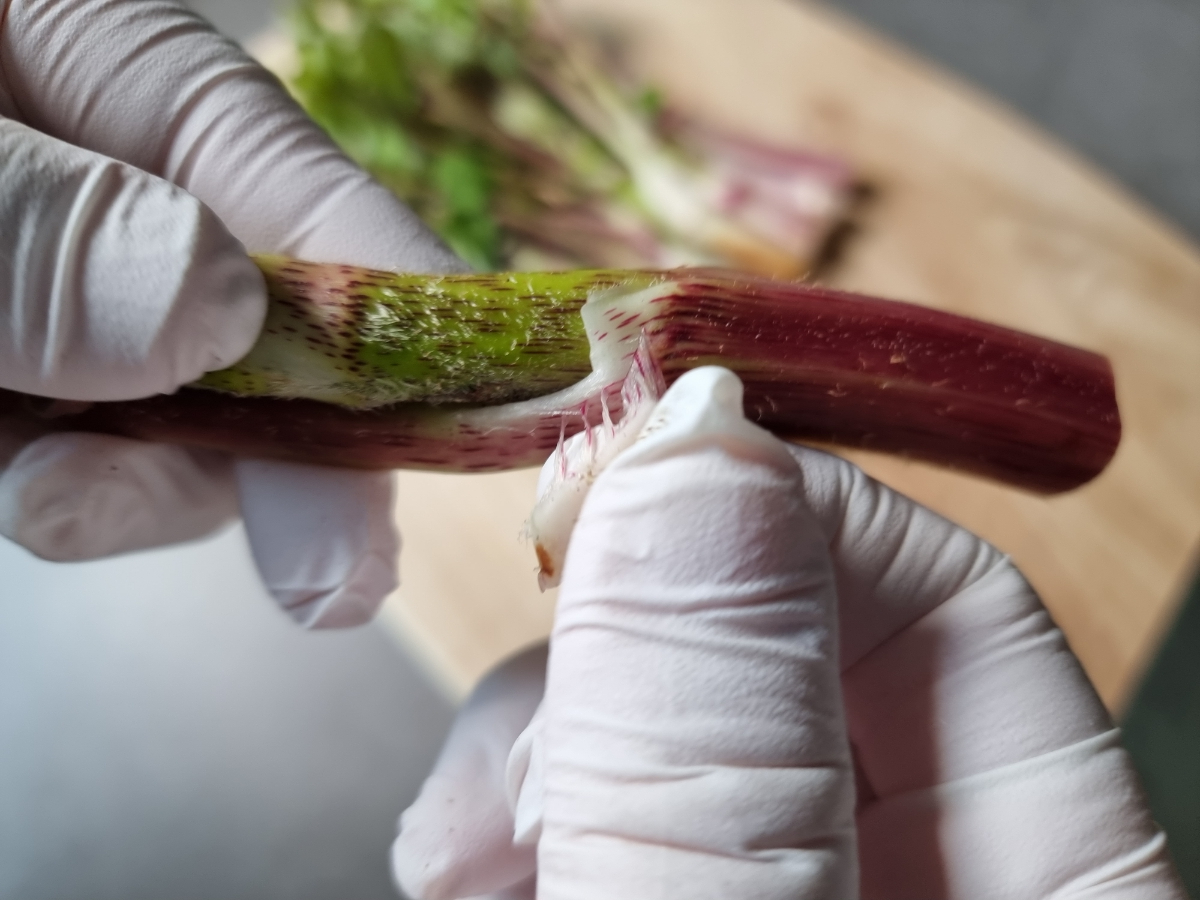 한끼공작소 레시피 과정 사진