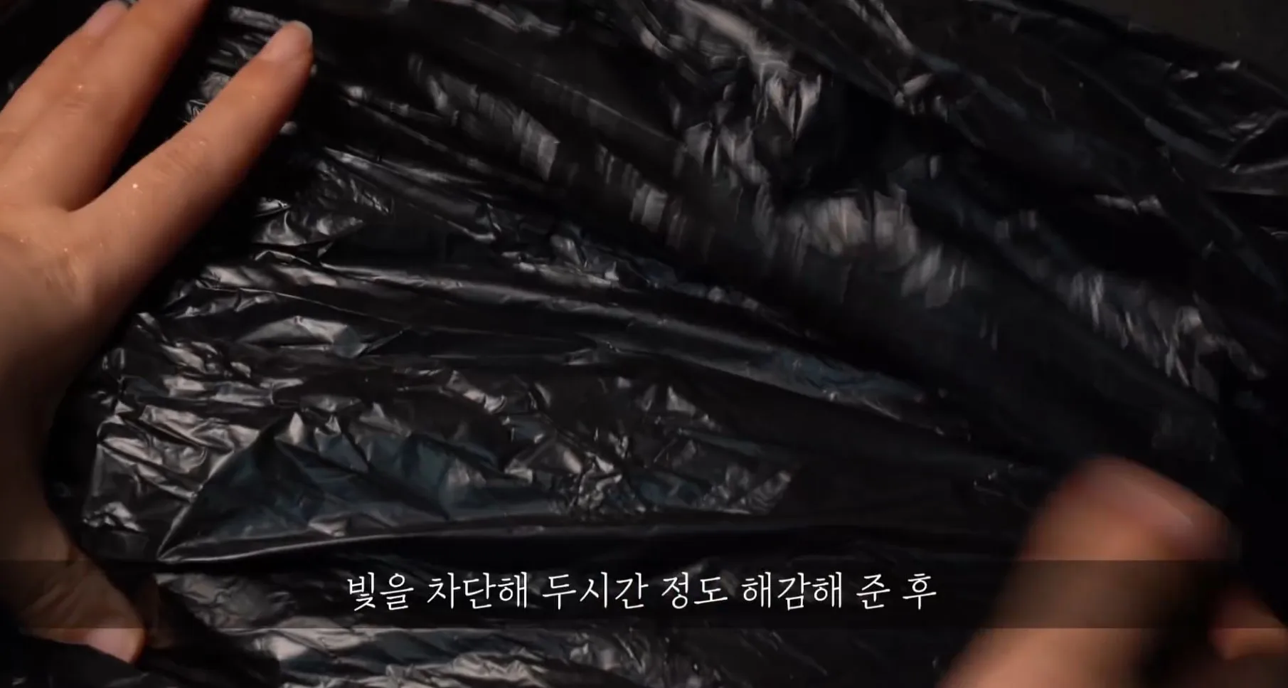 바지락술찜 정말 맛있어~ 간단요리/술안주 메뉴/바지락 해감