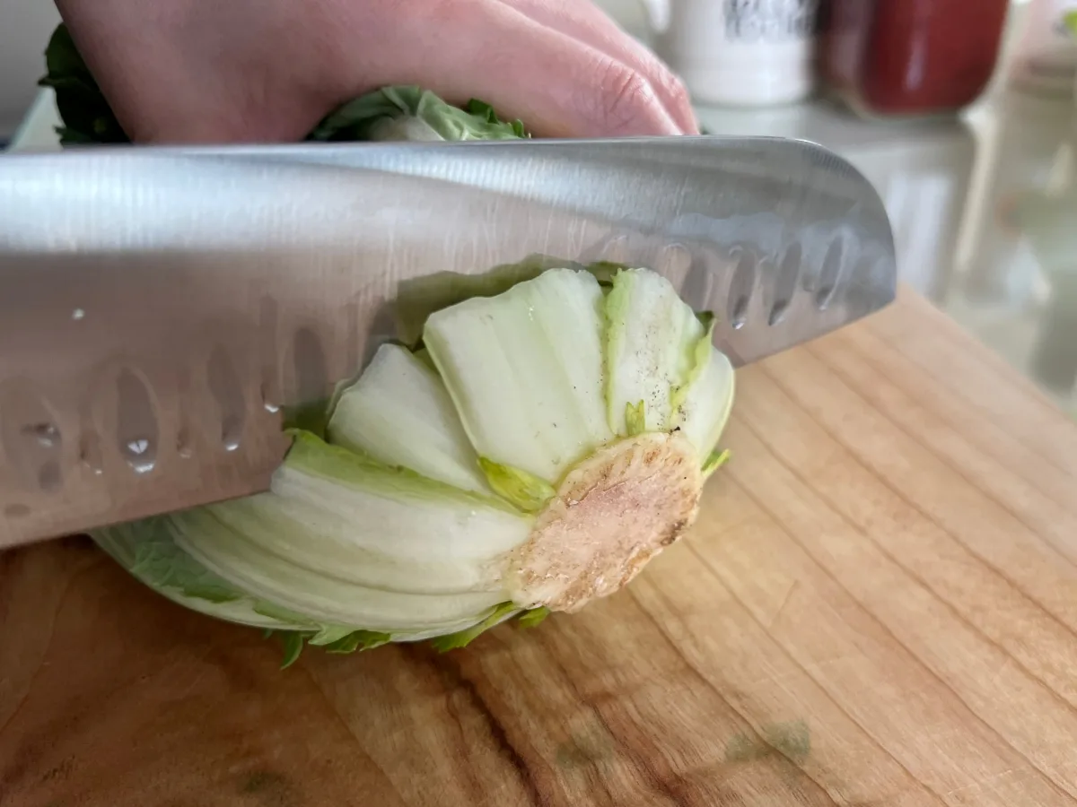 봄동 겉절이 만드는법 봄동무침 양념 맛있는 봄동 요리