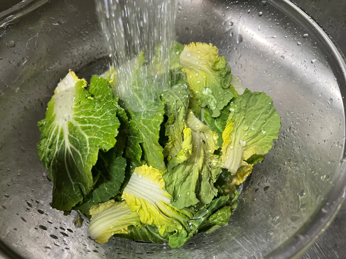 봄동 겉절이 만드는법 봄동무침 양념 맛있는 봄동 요리