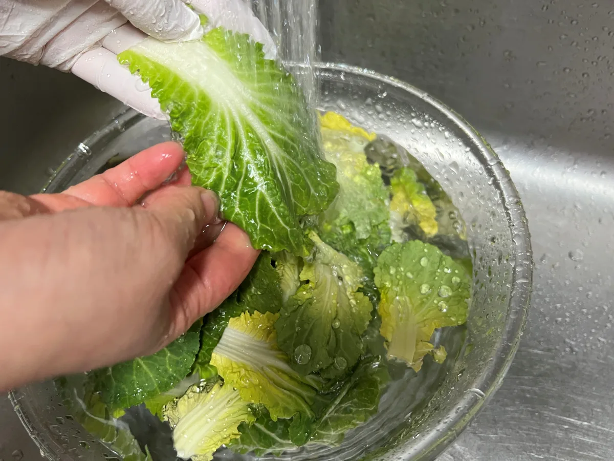 봄동 겉절이 만드는법 봄동무침 양념 맛있는 봄동 요리