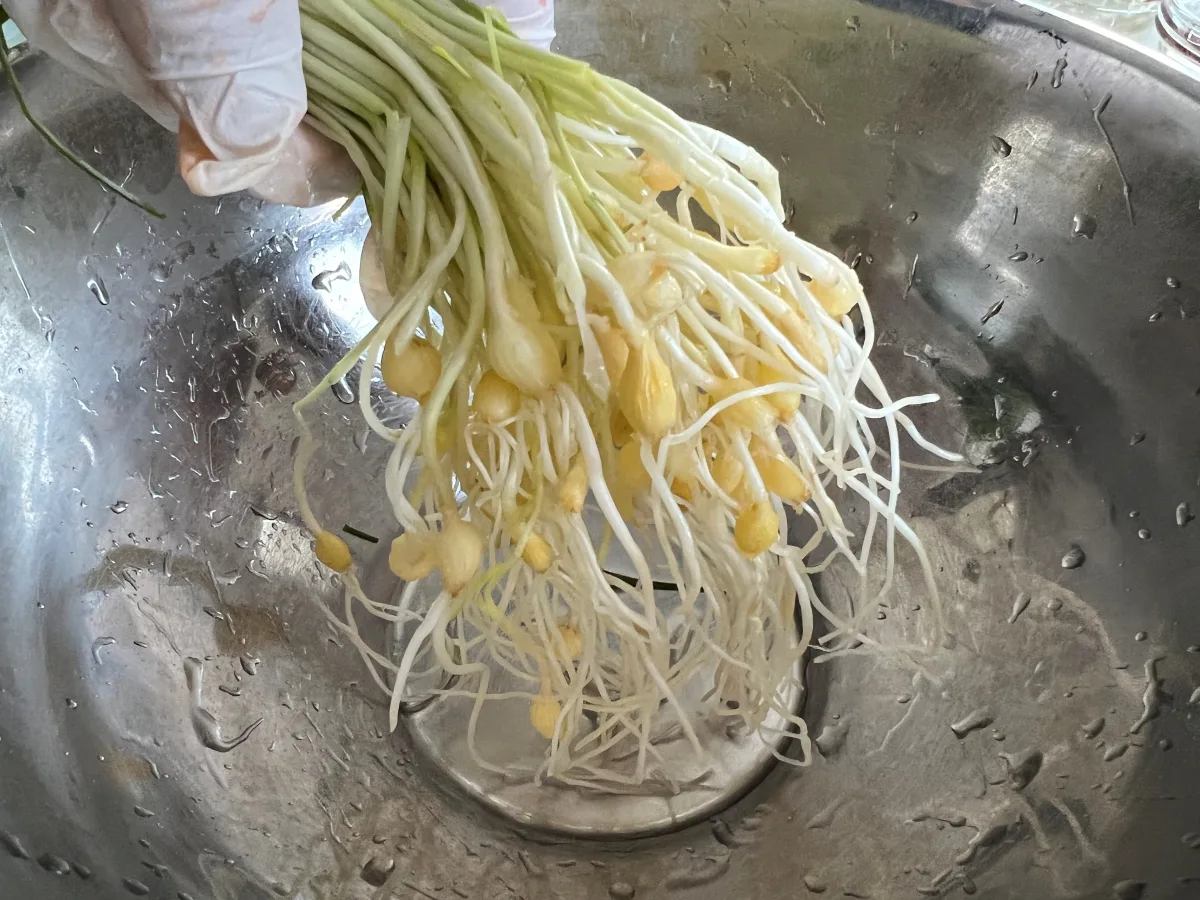 달래 양념장 달래장 만들기 달래 손질법(+계란 두부부침)