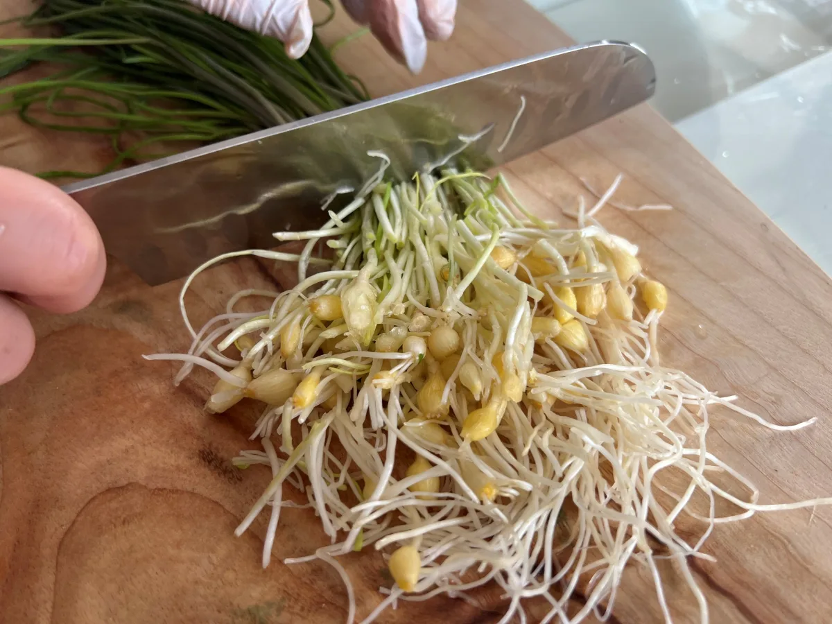 달래 양념장 달래장 만들기 달래 손질법(+계란 두부부침)