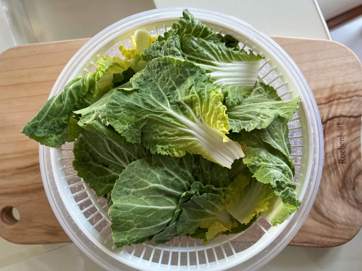 봄동 겉절이 만드는법 봄동무침 양념 맛있는 봄동 요리