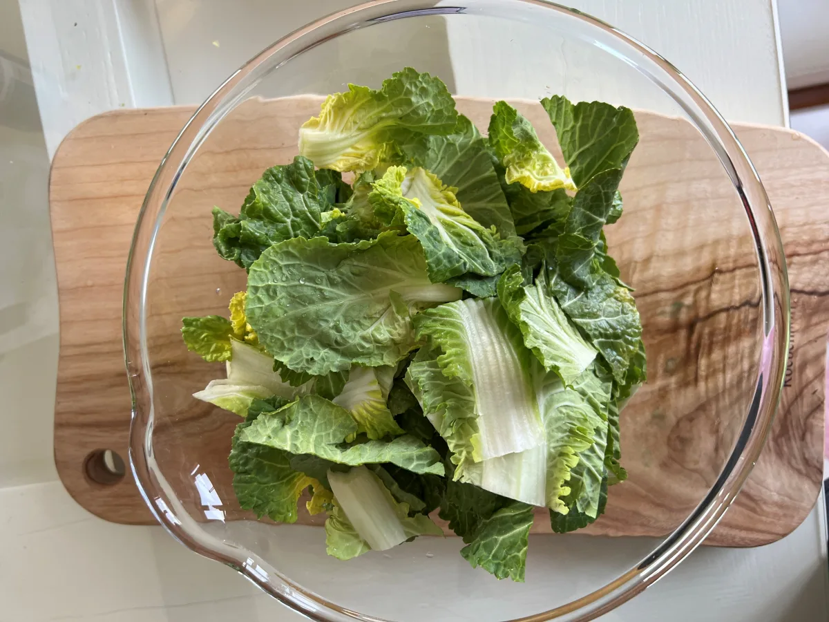 봄동 겉절이 만드는법 봄동무침 양념 맛있는 봄동 요리
