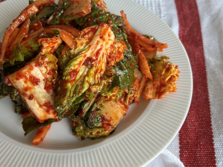 봄동 겉절이 만드는법 봄동무침 양념 맛있는 봄동 요리