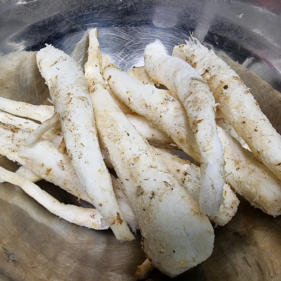 더덕무침 만드는법 더덕 손질부터 양념 까지~~