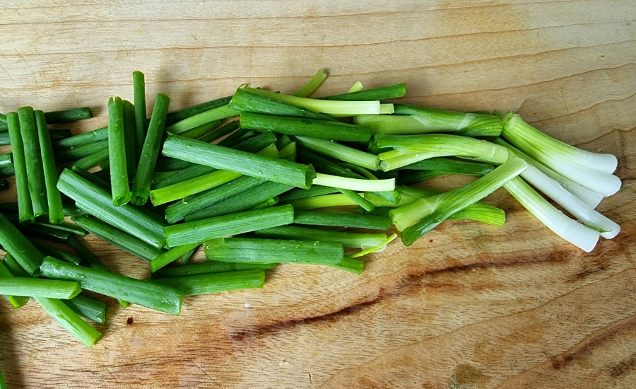 어남선생 갈배물회 성공률100%레시피 오징어숙회 12 10 2