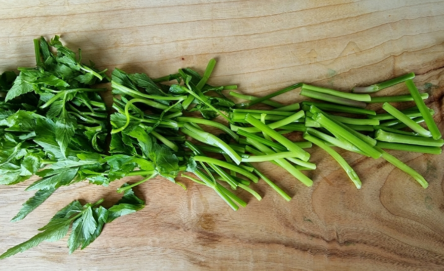 어남선생 갈배물회 성공률100%레시피 오징어숙회 11 9 2