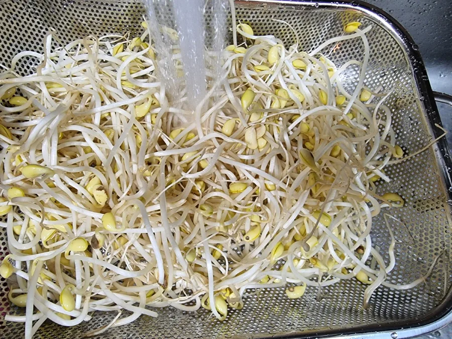콩나물국 끓이는법 맑은 콩나물국 레시피