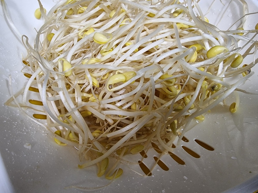 콩나물밥 양념장 만들기 입맛 돋우는 한그릇 요리 5 3