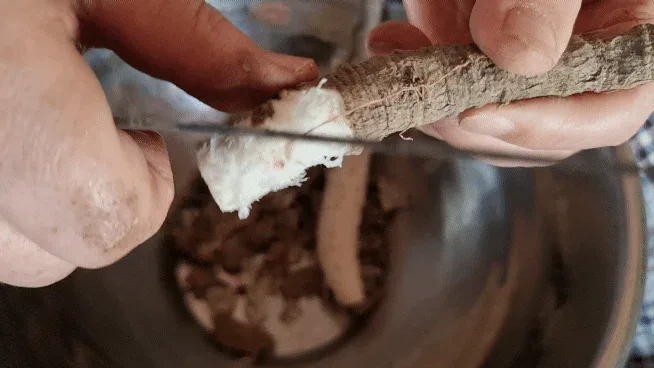 더덕고추장무침 더덕무침 만드는법 꿀맛보장 더덕손질
