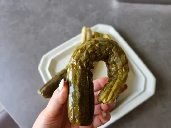 물없이 오이지 담그기 물엿 오이지 담그는 법