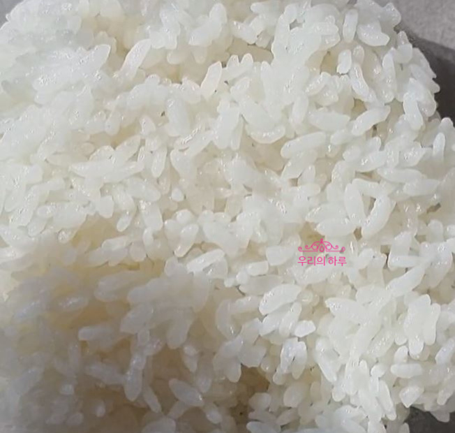 계란말이 김밥 스팸계란말이김밥 만들기 9 5 2