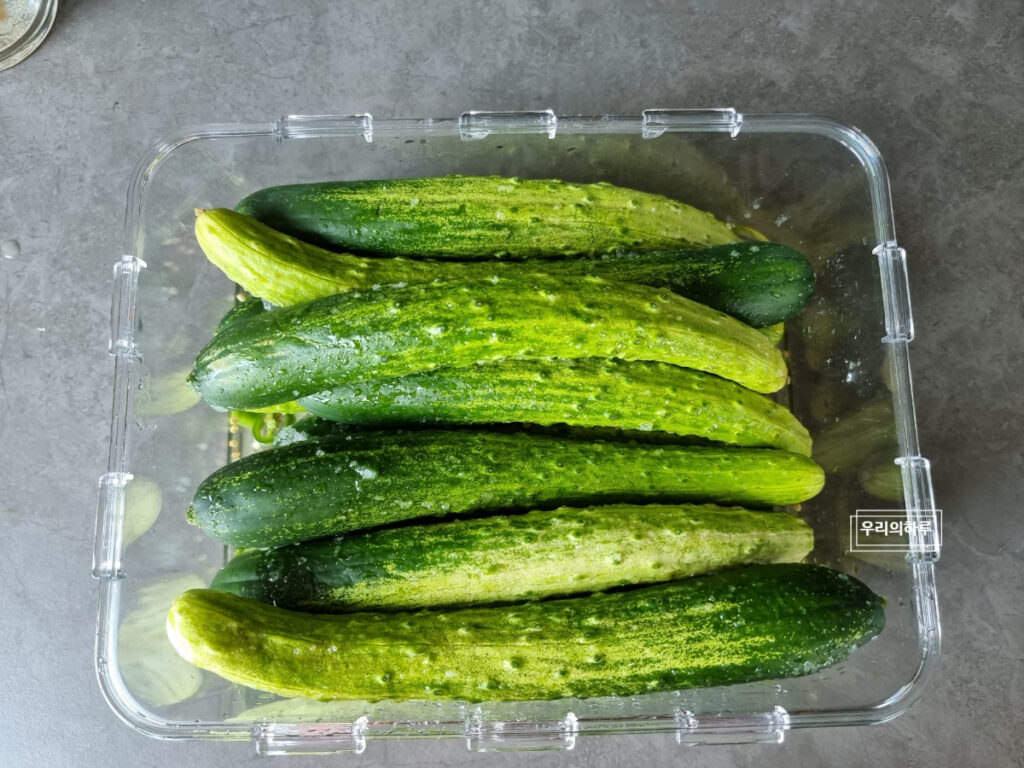 물없이 오이지 담그기 알토란 오이지 담그는법 | 한끼공작소 17 | 한끼공작소