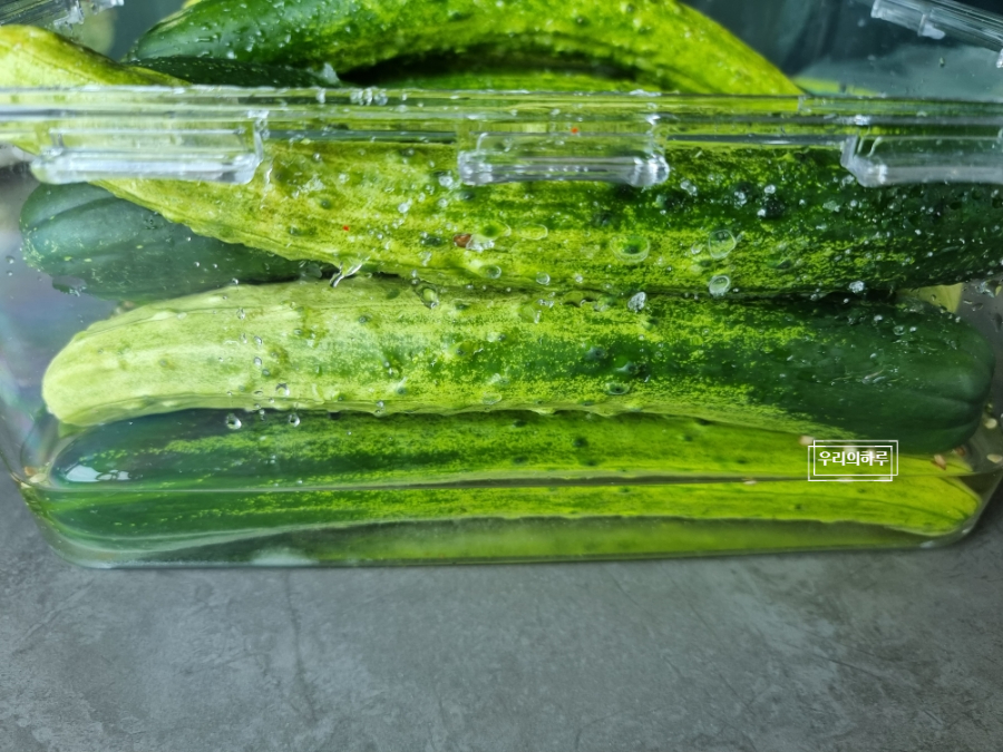 물없이 오이지 담그기 알토란 오이지 담그는법 | 한끼공작소 18 | 한끼공작소