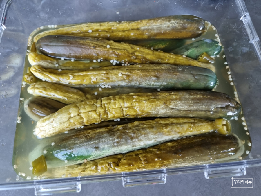 물없이 오이지 담그기 알토란 오이지 담그는법 | 한끼공작소 21 1 | 한끼공작소