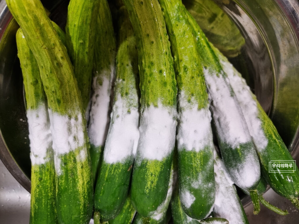 물없이 오이지 담그기 알토란 오이지 담그는법 | 한끼공작소 4 1 | 한끼공작소