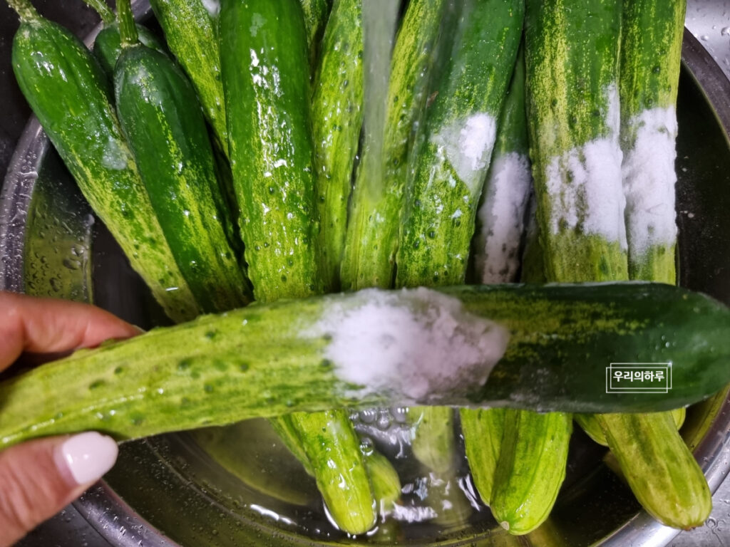 물없이 오이지 담그기 알토란 오이지 담그는법 | 한끼공작소 5 2 | 한끼공작소