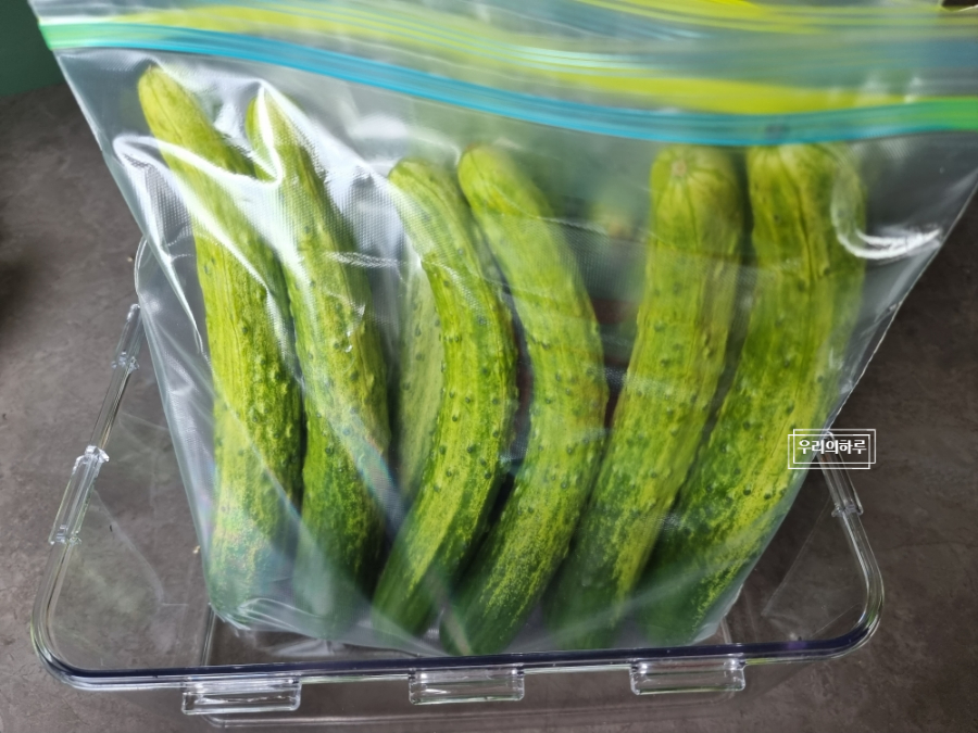 물없이 오이지 담그기 알토란 오이지 담그는법 | 한끼공작소 9 | 한끼공작소