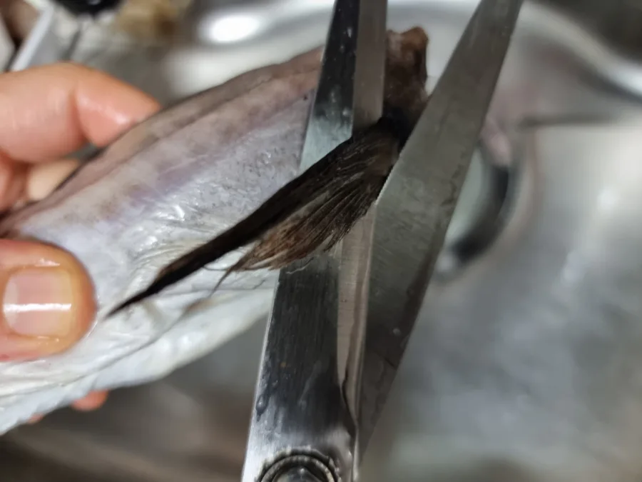 코다리조림 만드는 법 명태조림 코다리찜 양념 레시피 코다리조림 황금레시피