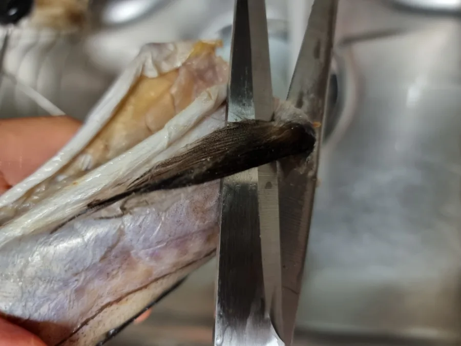 코다리조림 만드는 법 명태조림 코다리찜 양념 레시피 코다리조림 황금레시피