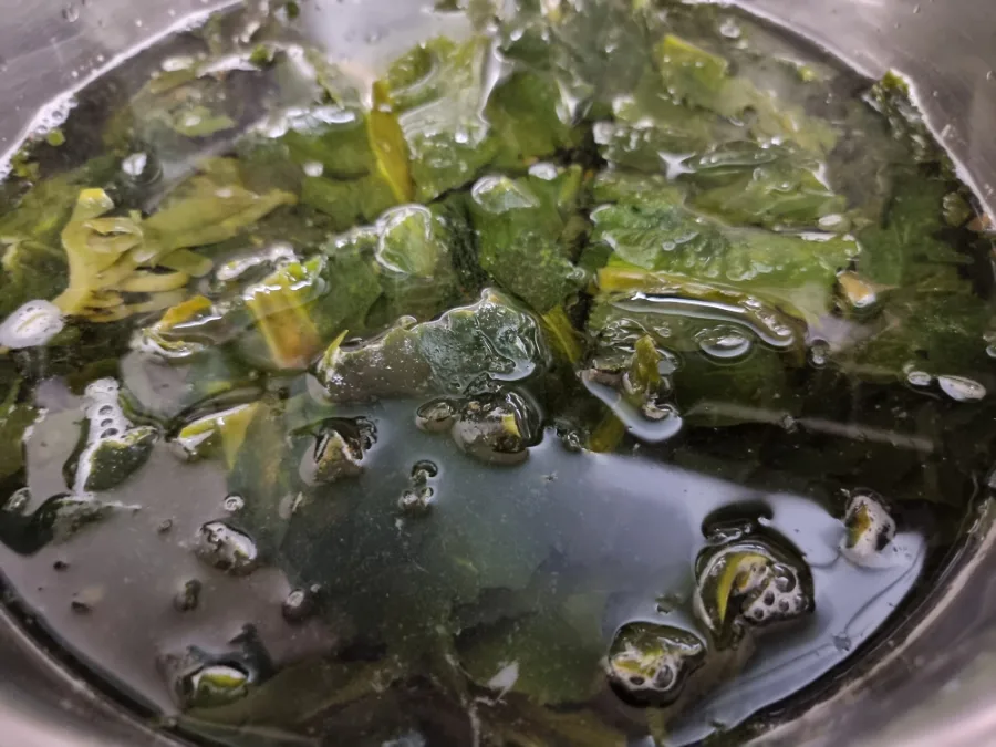 소고기 미역국 끓이는방법 쇠고기 미역국 레시피 맛있게 끓이는법