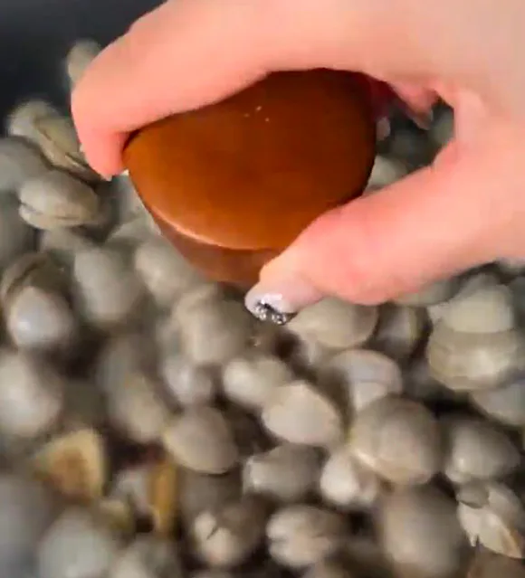 바지락 조개 술찜 황금레시피 초간단 소주 안주