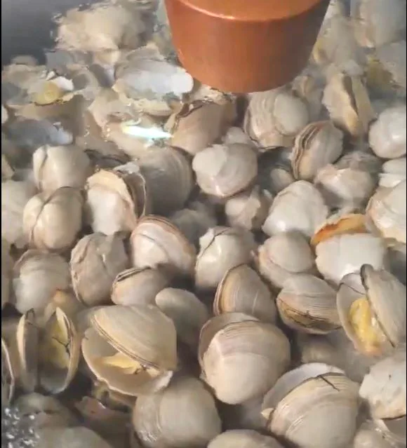 바지락 조개 술찜 황금레시피 초간단 소주 안주