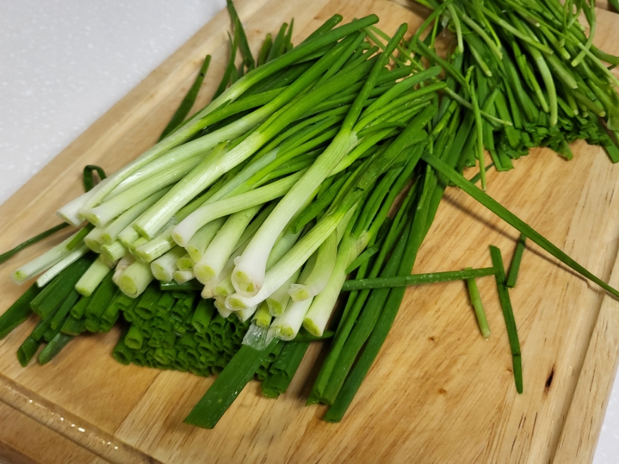 파전 만들기 해물파전 만드는법 레시피 막걸리 안주 5 4 2