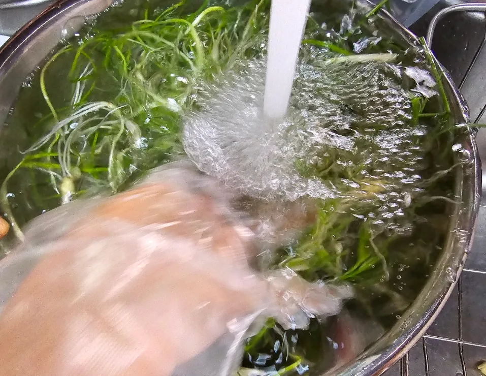 달래양념장 달래장 만들기 고소한 들기름 두부구이