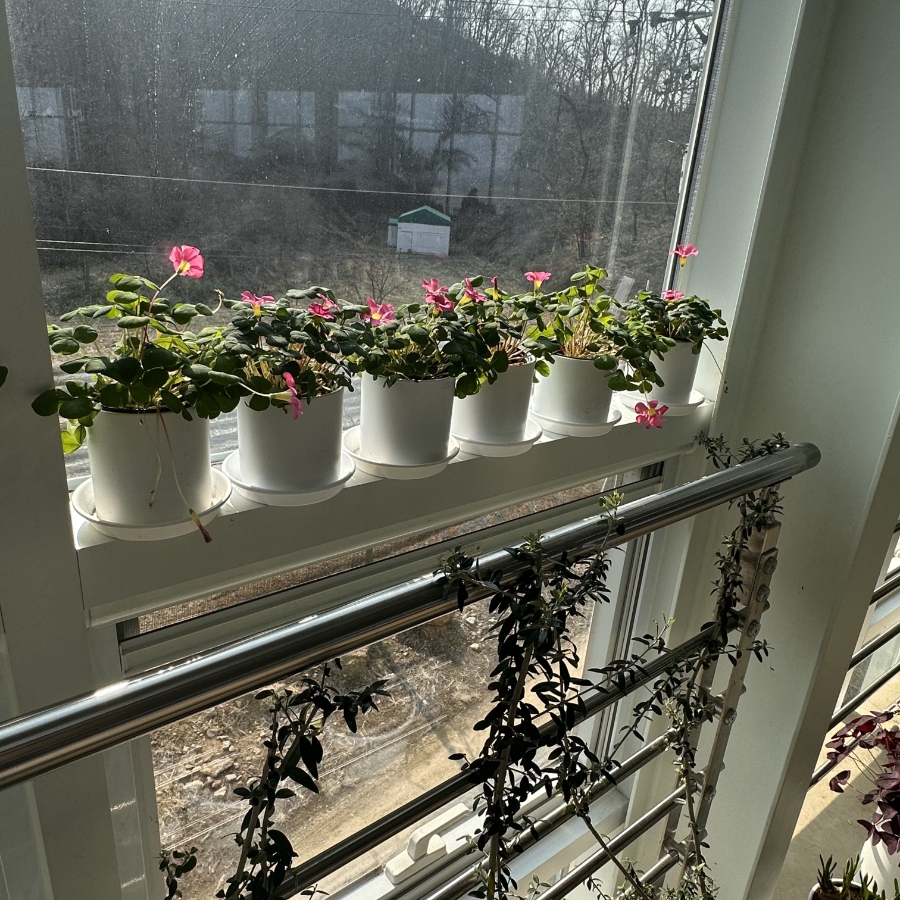 20 | 한끼공작소