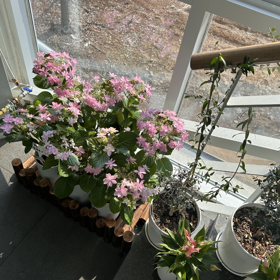 22 | 한끼공작소