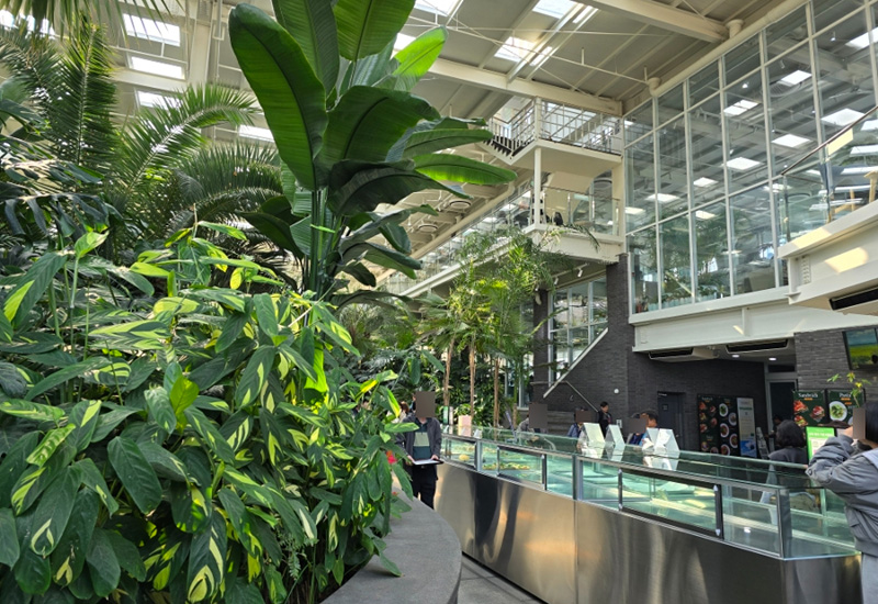 6 1 1 | 한끼공작소