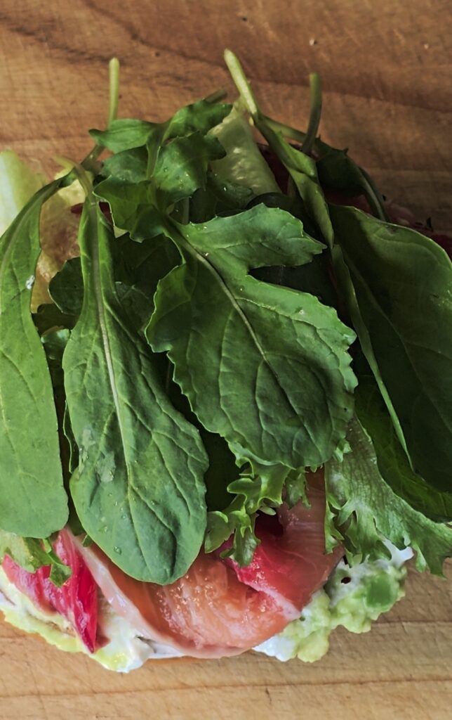 베이글 맛있게 먹는법 베이글 훈제연어 샌드위치 만들기 22 20 1