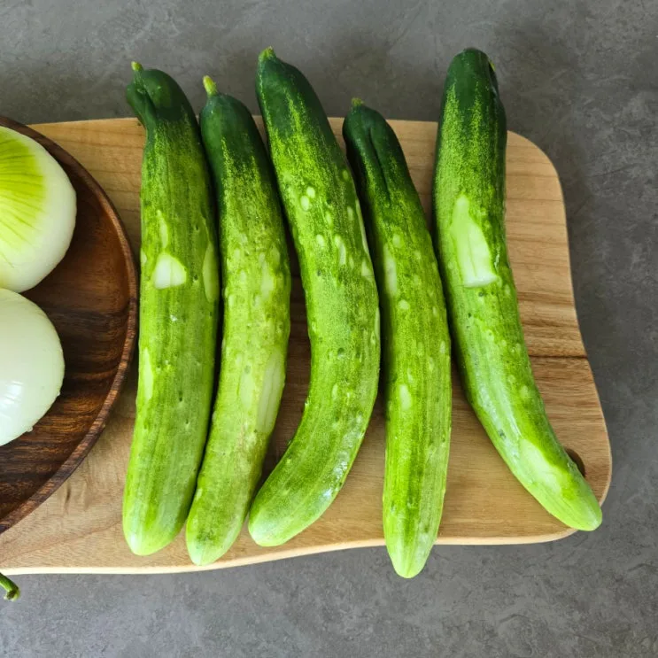 몽고 장아찌간장소스 초간단 오이 양파 장아찌 만들기