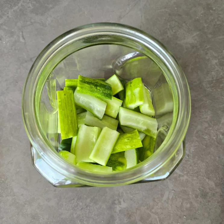 몽고 장아찌간장소스 초간단 오이 양파 장아찌 만들기