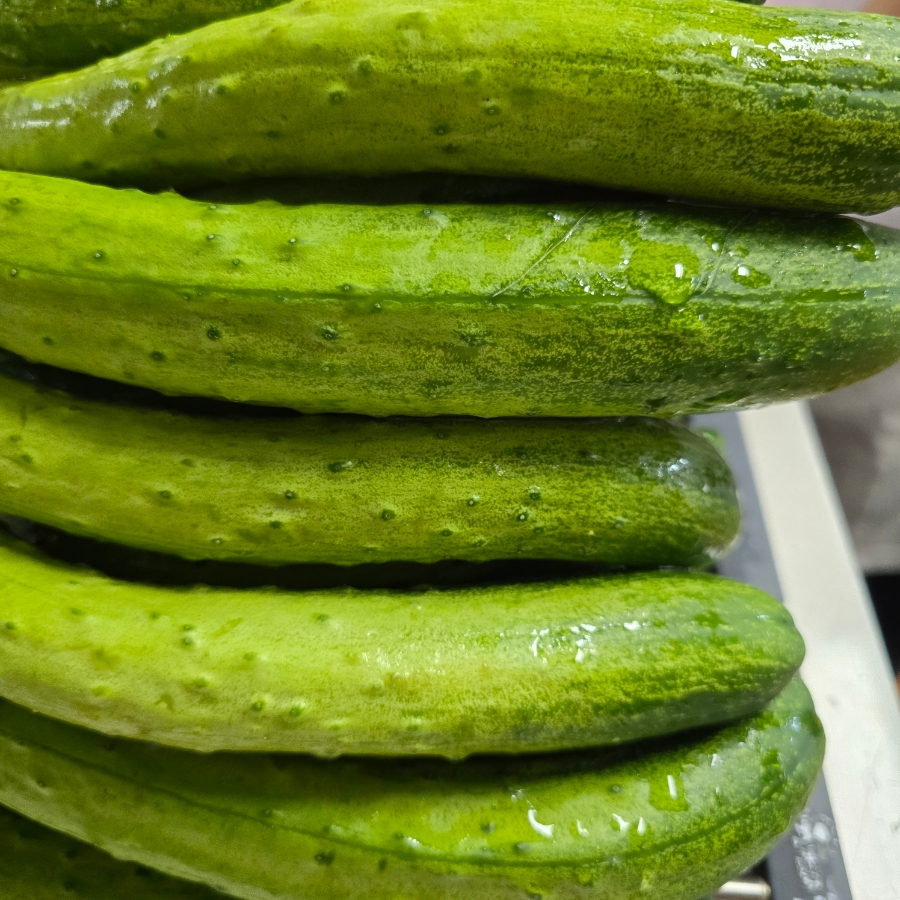 오이지 담그는법 물없이 오이지 담그기 오이지 만드는법 | 한끼공작소 5 33 | 한끼공작소