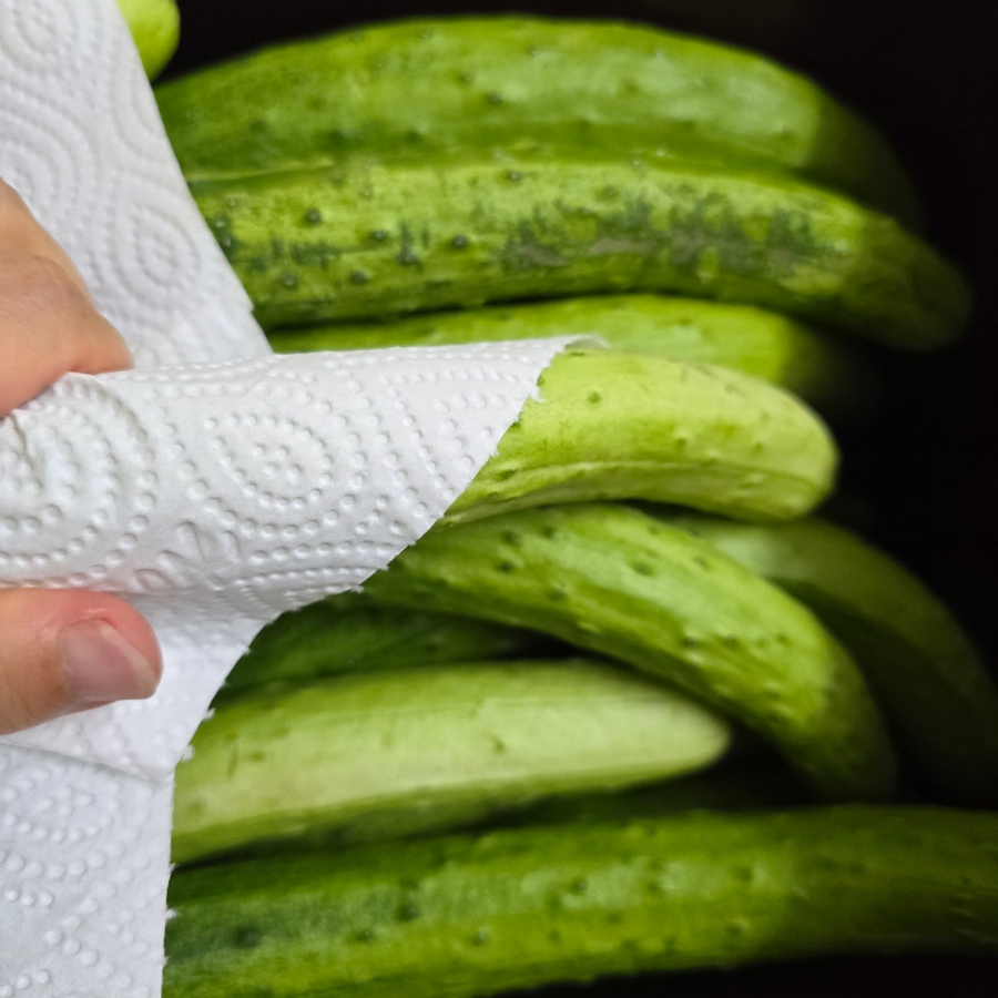 오이지 담그는법 물없이 오이지 담그기 오이지 만드는법 | 한끼공작소 6 32 | 한끼공작소