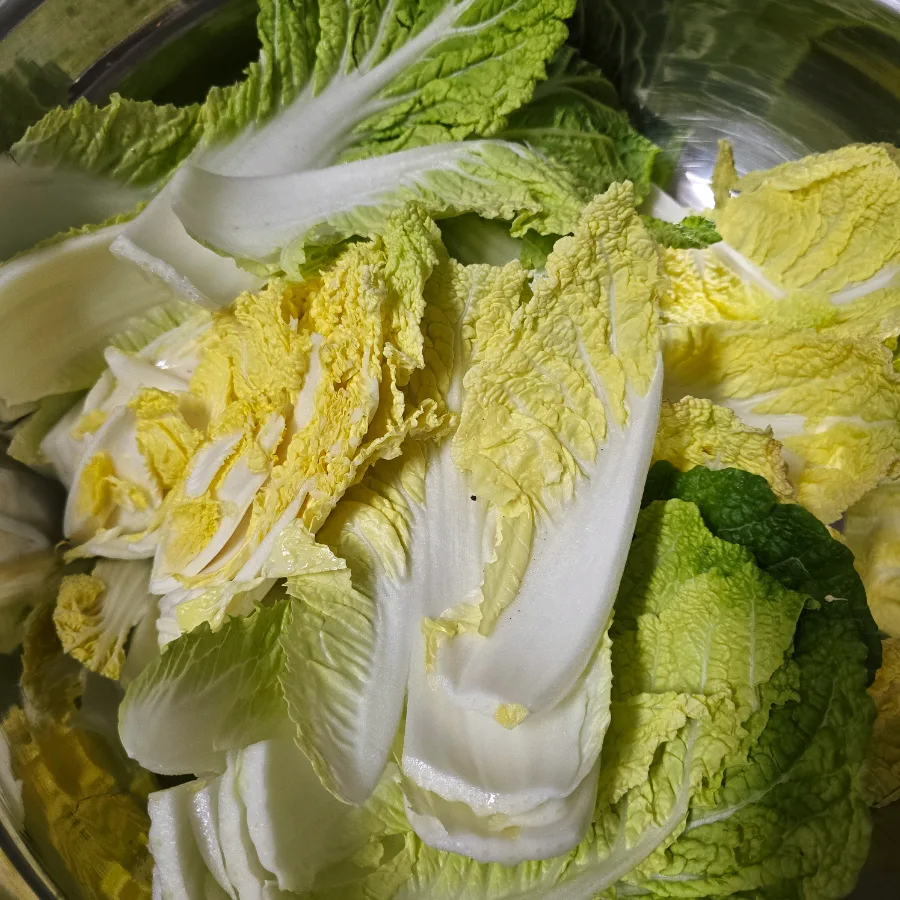배추김치 담그는법 막김치 담그기 맛김치 만들기 배추겉절이 만드는법
