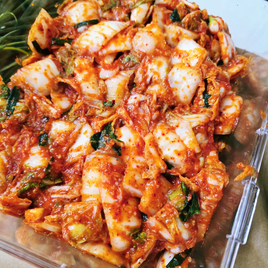 배추김치 담그는법 막김치 담그기 맛김치 만들기 배추겉절이 만드는법