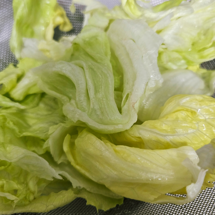 불고기 냉우동 만들기 여름음식 추천 레시피 23 20 16