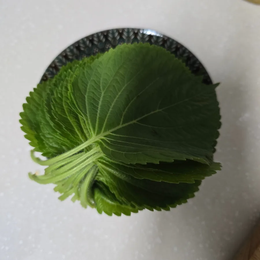 순대볶음 황금 레시피 순대야채볶음 양념장 술안주 베스트