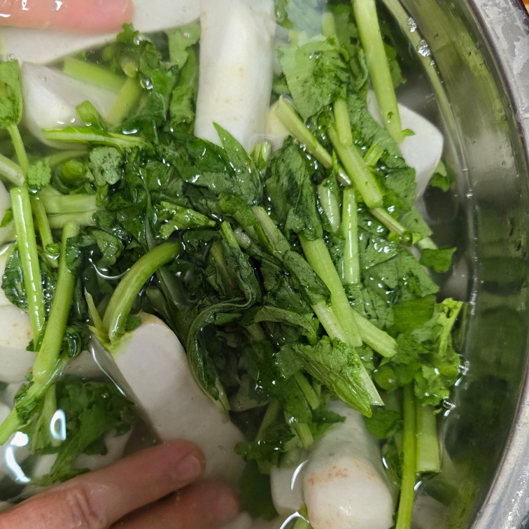 여름 알타리김치 담그는법 아삭한 총각김치 알타리무 김치 15 12 9