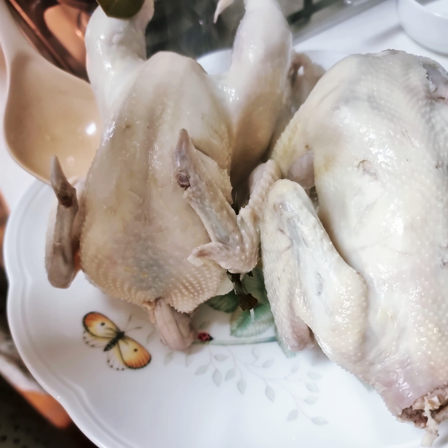 닭개장 만드는법 닭계장 만들기 여름보양식 25 23 6