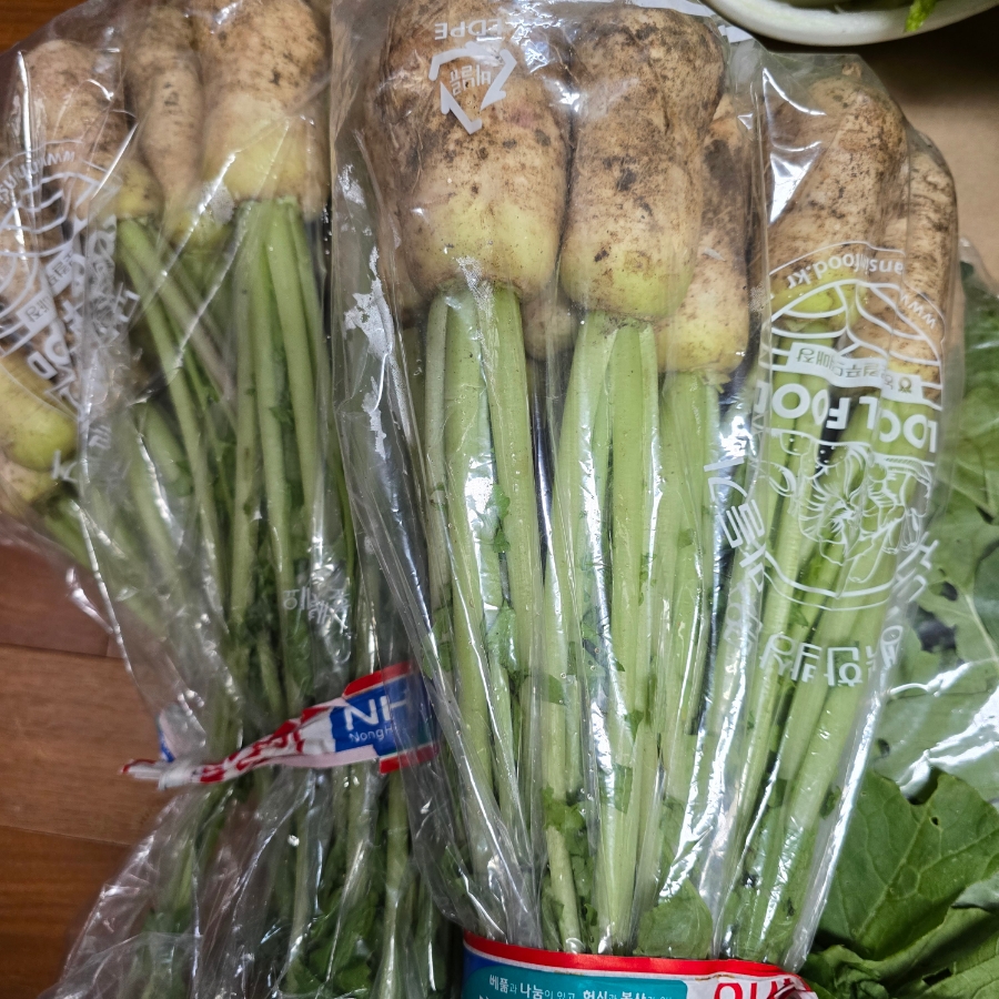 여름 알타리김치 담그는법 아삭한 총각김치 알타리무 김치 5 3 6