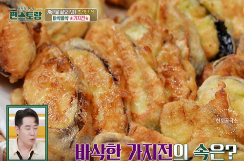 류수영가지전