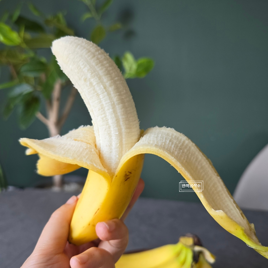 바나나 견과류 쉐이크 만들기 아침식사대용 바나나 1개 칼로리 7 바나나견과류쉐이크