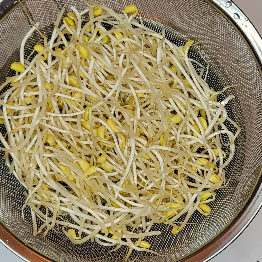 콩나물무침 레시피 콩나물 삶는시간